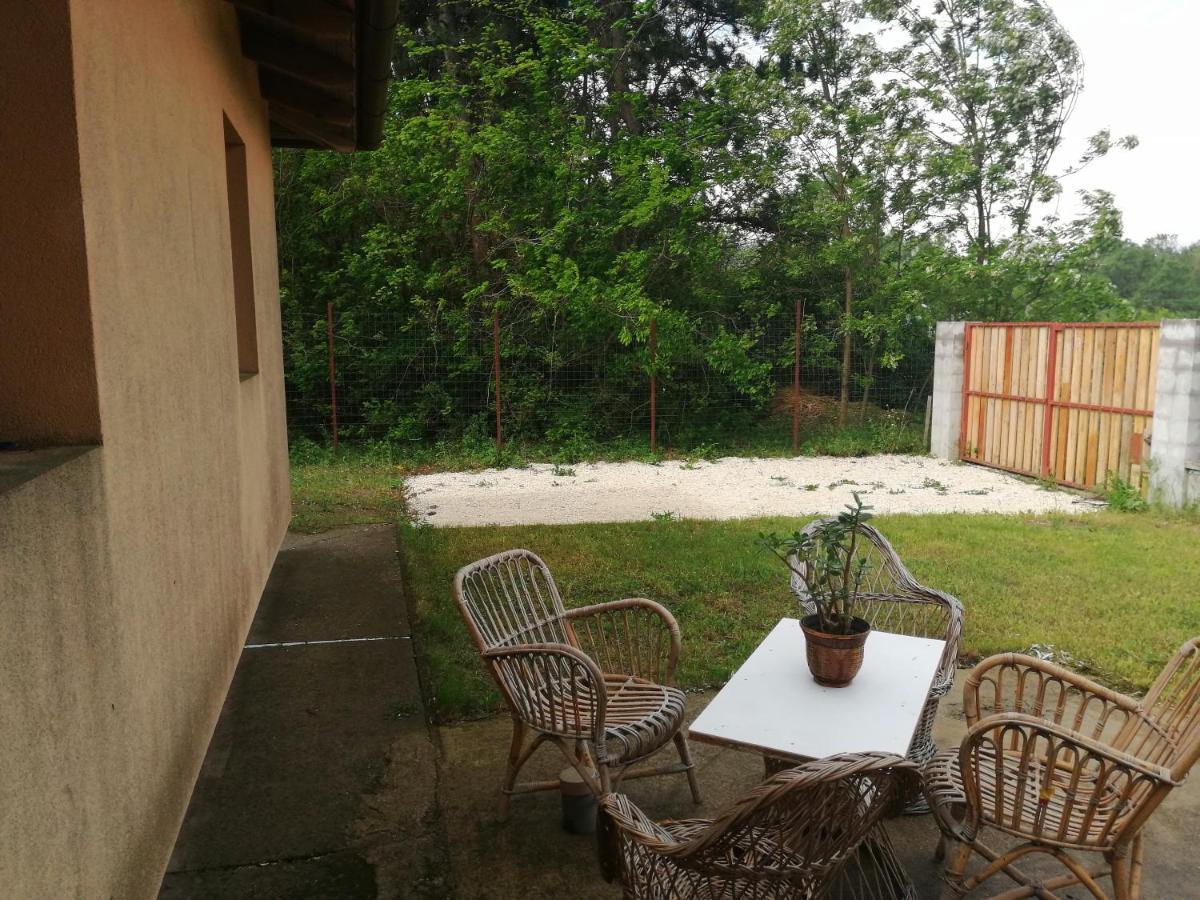 Vízaknai Apartmanház Székesfehérvár Exteriér fotografie